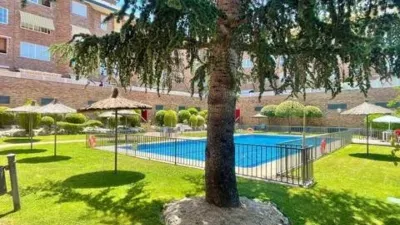 Apartment on Calle del Alcalde Marcelino Sanz photo 4