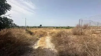 Casa – Los Montesinos, Barrio de los Miras - Vista 5