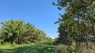 Terreno en venta en Pego - Vista 2