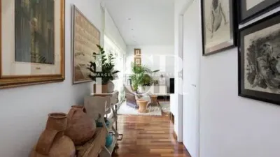 Chalet in Bellamar photo 46