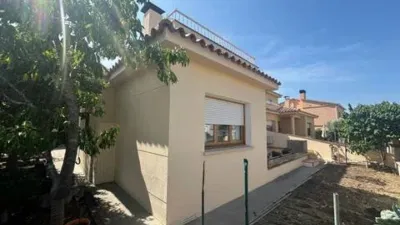 Chalet in Els Grecs-Mas Oliva photo 45