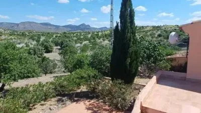 Rustic house in Oria photo 21