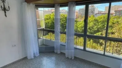 Apartment on Calle de Portugal photo 6