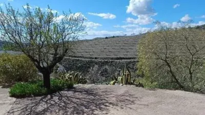 Rustic house in Vélez-Rubio photo 9
