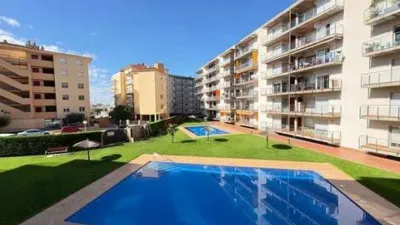 Apartment in Santa Margarida photo 15