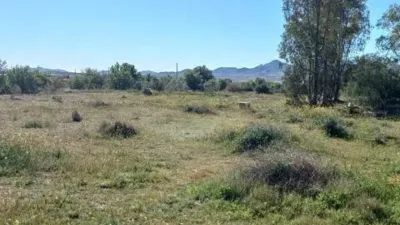 Rustic house in Abejuela photo 6