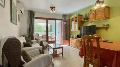 Apartment in L'Alfàs del Pi photo 7