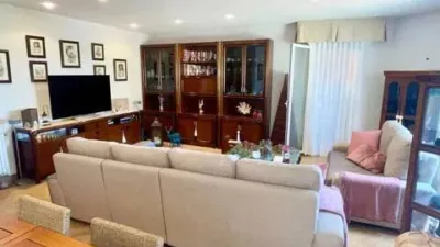 Apartment on Calle del Alcalde Marcelino Sanz photo 10