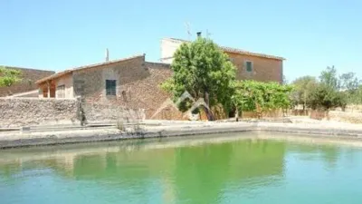 Rustic Finca in Sa Casa Blanca photo 3