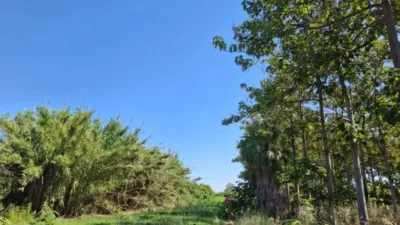 Terreno en venta en Pego - Vista 4