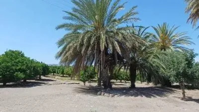 Rustic house in Abejuela photo 12