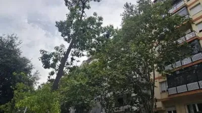 Apartment in El Clot photo 5