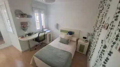 Flat at Calle Madre Soledad T Acosta, 8 photo 35
