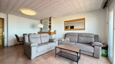 Apartment on Carrer del Puig Rom photo 4