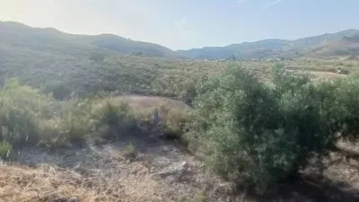 Rustic property in Lubrín photo 18