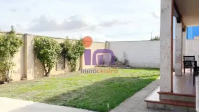 Miniatura 11