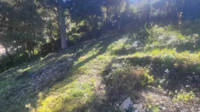 Chalet in Olesa de Bonesvalls photo 15