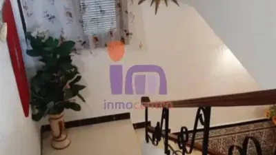 Miniatura 11