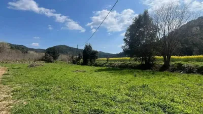 Rustic house on Camino Street, 51 photo 50