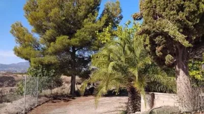 Chalet in Ibi photo 13