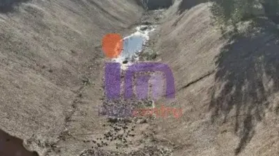 Miniatura 9