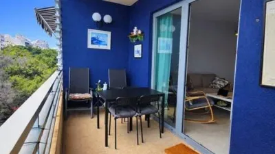 Penthouse on Rambla de Santa Cruz photo 5