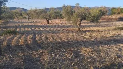 Terreno en venta en Ibi - Vista 4
