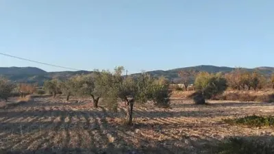 Terreno en venta en Ibi - Más