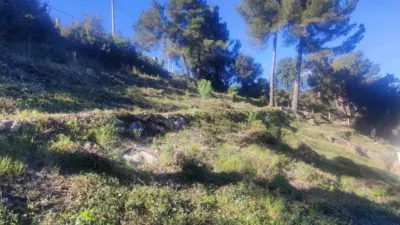 Chalet in Olesa de Bonesvalls photo 4