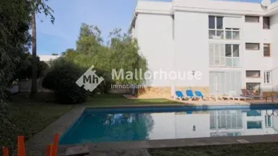 Apartment in Santa Margalida photo 32