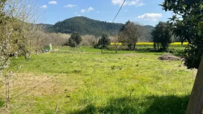 Rustic house on Camino Street, 51 photo 9