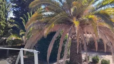 Chalet in Ibi photo 27