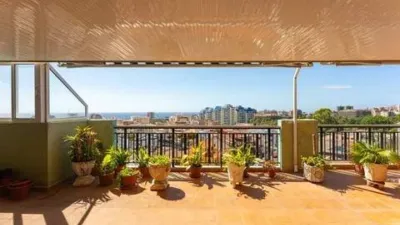 Penthouse on Pintor Ribera Street photo 3