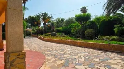 Pis – l'Alfàs del Pi, Devesa - Vista 4