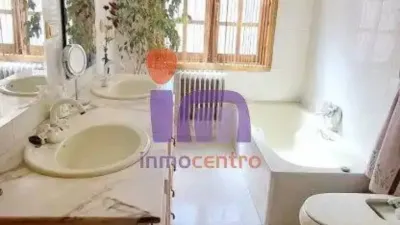 Miniatura 11