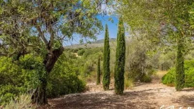 Rustic villa in Son Servera photo 10