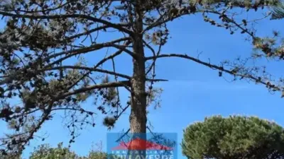 Chalet in Cangas photo 61