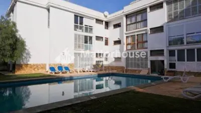 Apartment in Santa Margalida photo 31