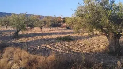 Terreno en venta en Ibi - Vista 3