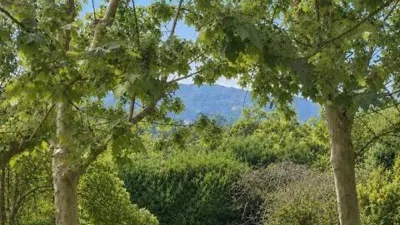 Chalet in Algete photo 43