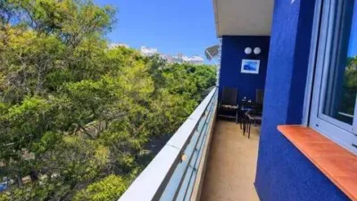 Penthouse on Rambla de Santa Cruz photo 4