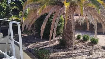 Chalet in Ibi photo 31