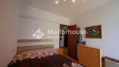 Apartment in Santa Margalida photo 16
