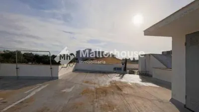 Apartment in Santa Margalida photo 26