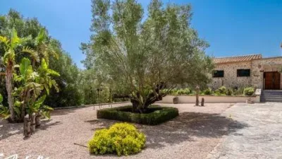 Rustic villa in Son Servera photo 3