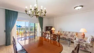 Penthouse on Pintor Ribera Street photo 6