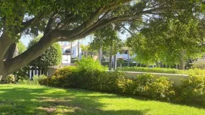 Piso en Avenida de Carla de Orleans photo 34
