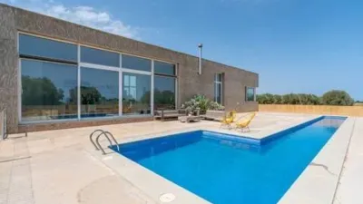 Casa – Elx - Elche - Más