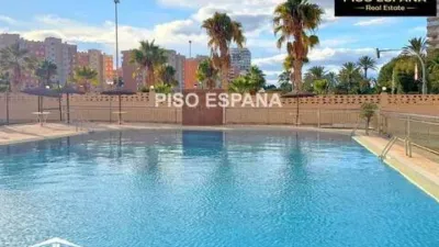 Pis – Alicante - Alacant - Vista 5