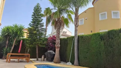 Chalet in Pedreguer photo 5